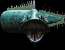 Slaughterfish