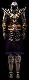 [Imperial Guard Armour, 58x160 (3kb)]